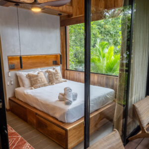 Jungle Immersion (AC) | Week 3